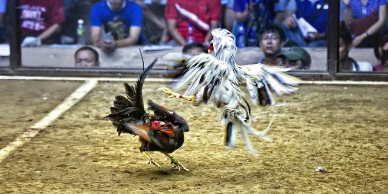 w88top trò chơi nổ hũ là gì
