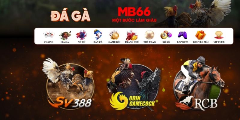 w88top gà chọi c1 mới nhất