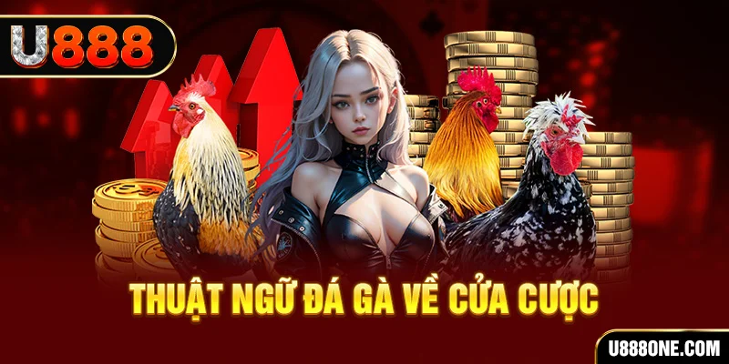 w88top đăng nhập roulette rút tiền nhanh