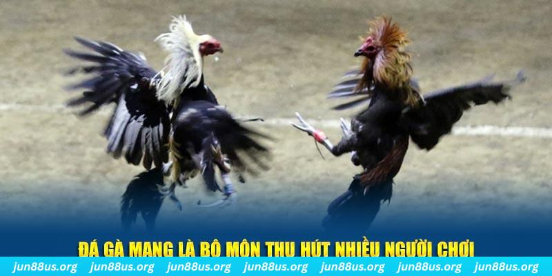 w88top xổ số miền bắc thứ tư hàng tuần