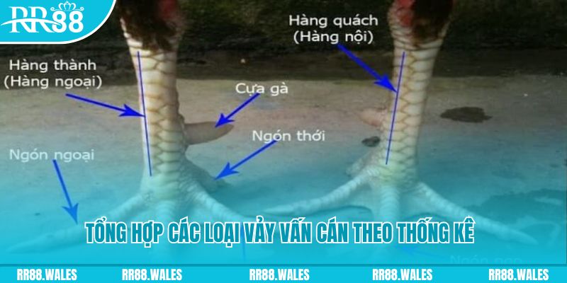w88top BSP Bắn cá