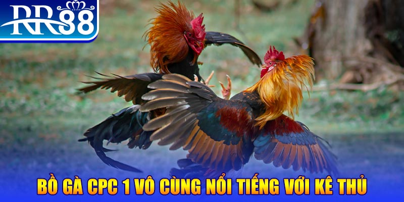 w88top JILI Game Bài 3d