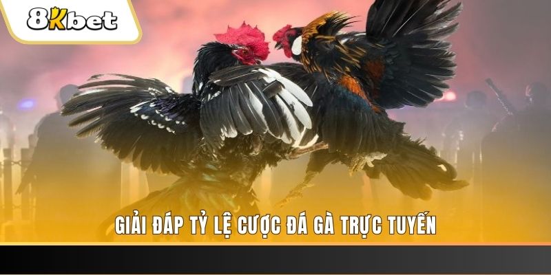 w88top xổ số miền nam thứ tư