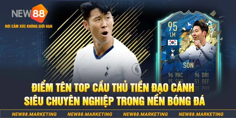 w88top Trăm Knorr