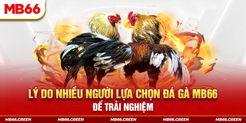 w88top new88 ở trò chơi nổ hũ có bao nhiêu sảnh game？