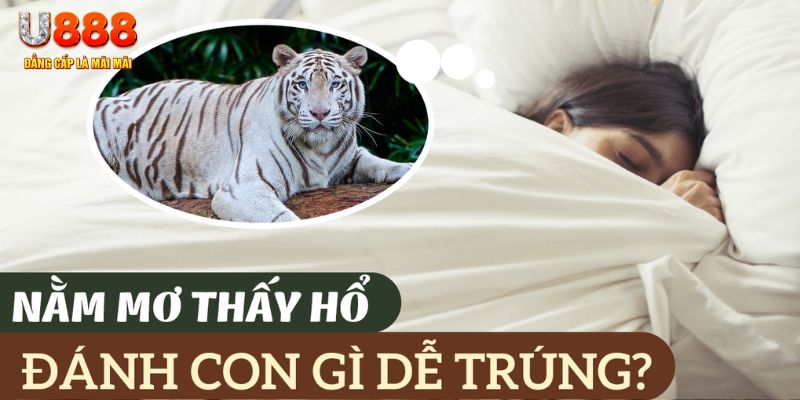 w88top long bảo baccarat la gì