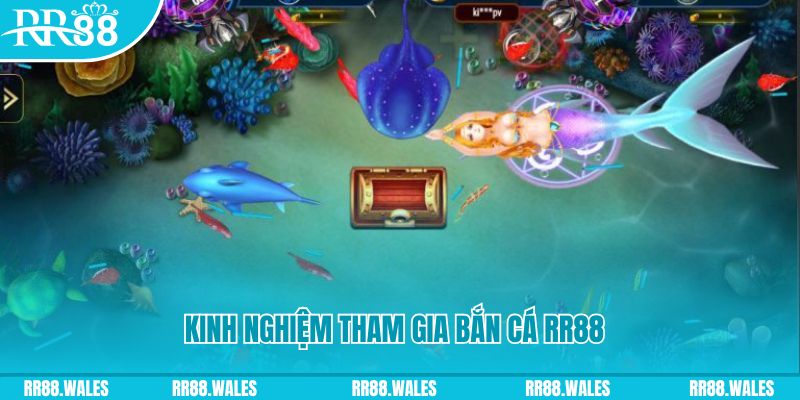 w88top baccarat lừa đảo như thế nào