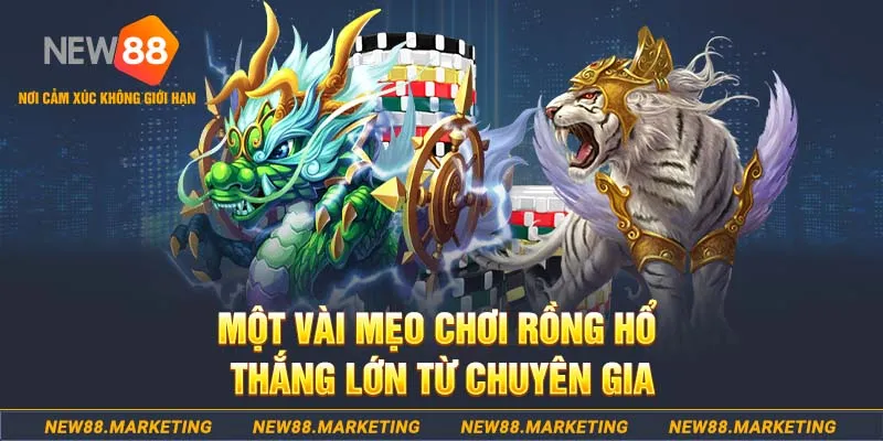 w88top gà chọi cu cần