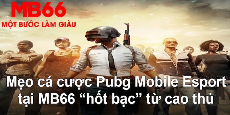 w88top AOG Đá Gà
